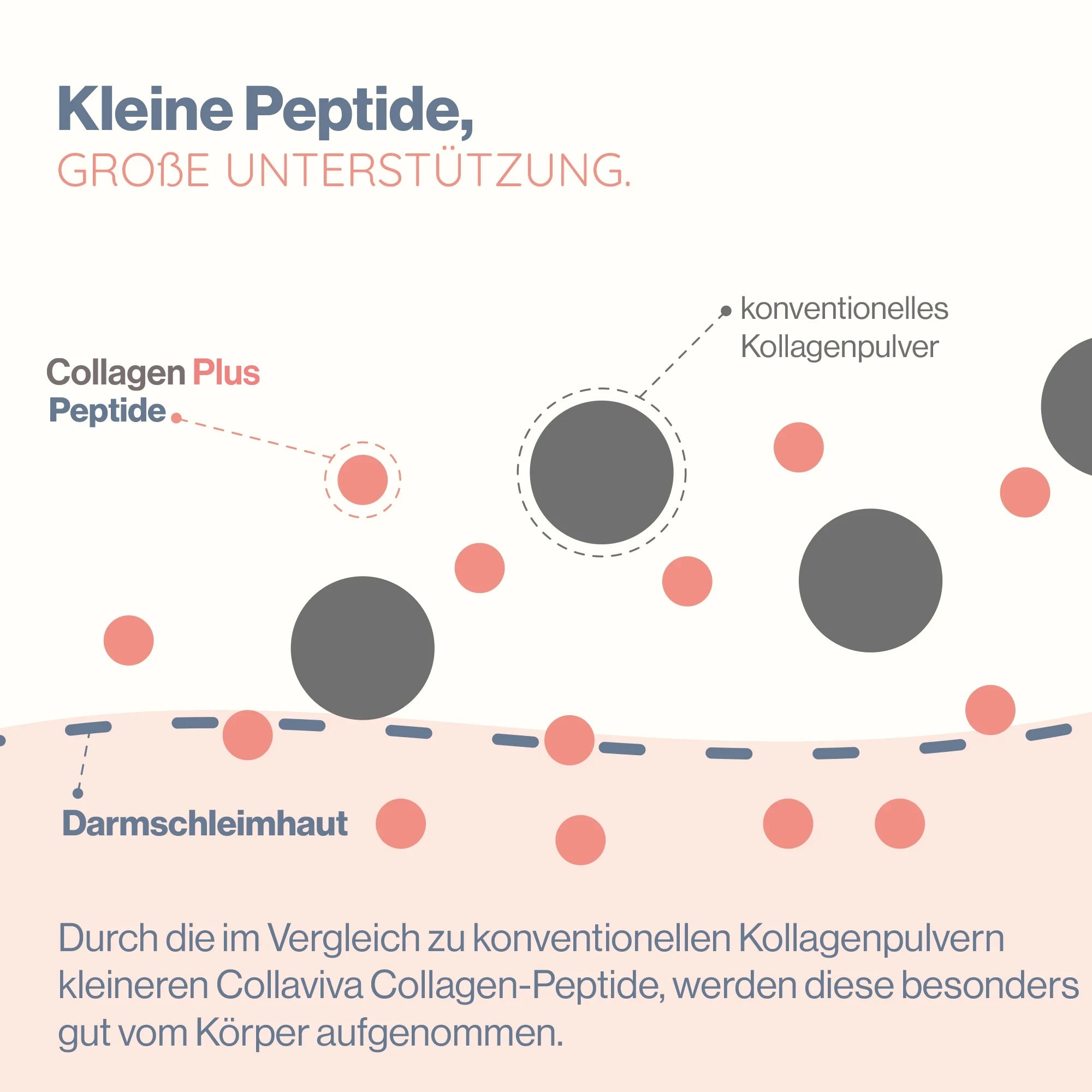 CollagenPlus  +Vitamin C +Zink +Biotin - 450g