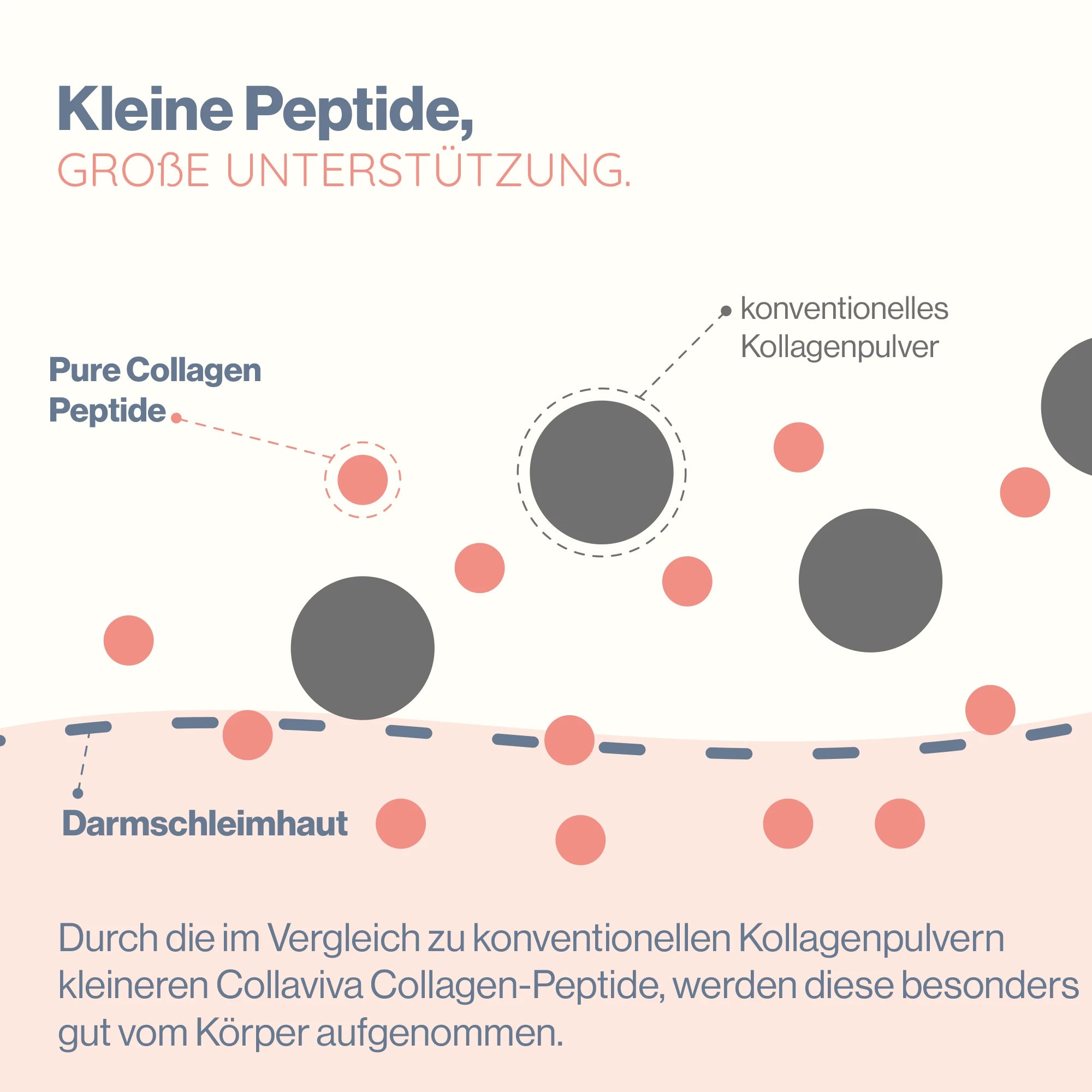 Pure Collagen - Das Original *Neu*