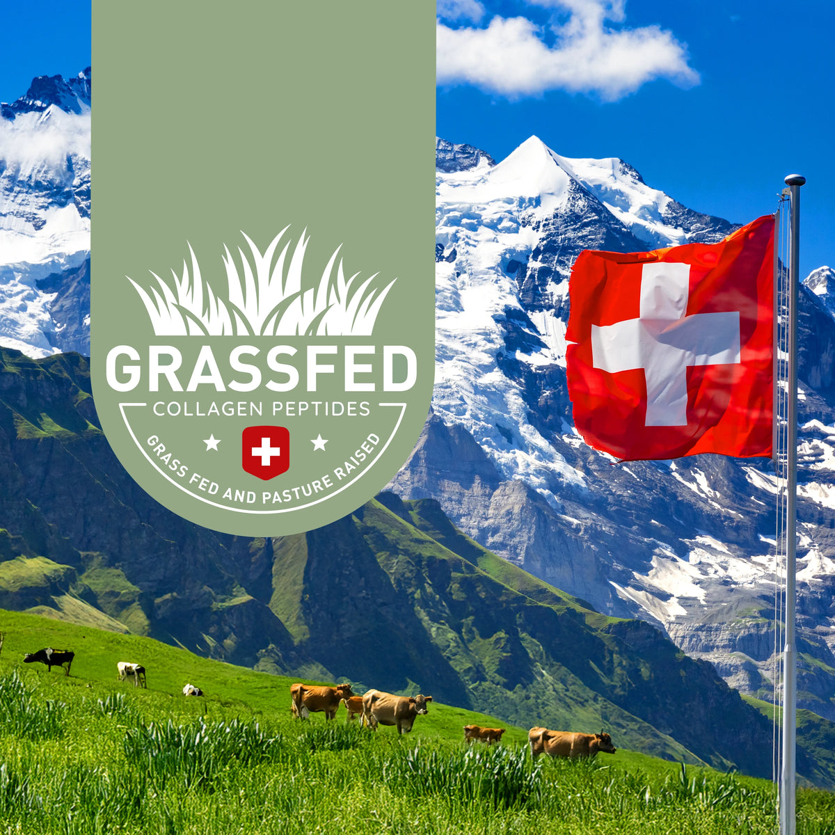 Grass-Fed Collagen aus der Schweiz von Alpenrindern 400 g