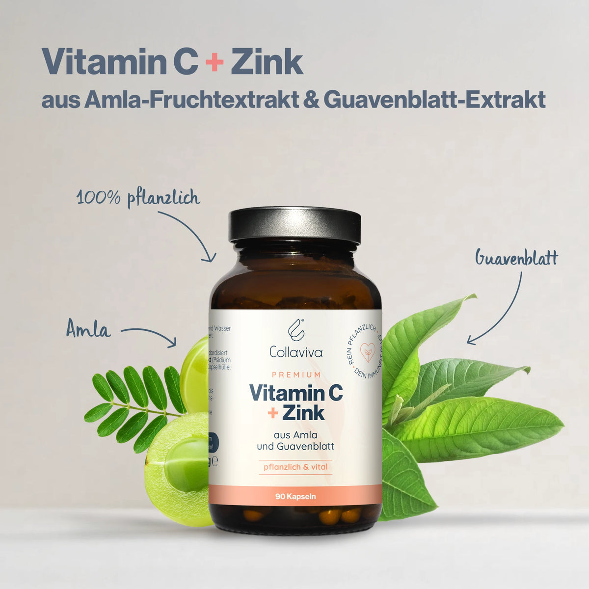 Collaviva Beauty Bundle - PureCollagen + MSM + Vitamin C + Zink